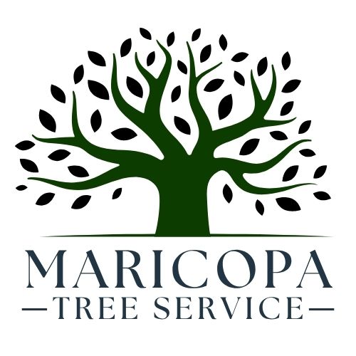 AllSetPro Maricopa Tree Services logo